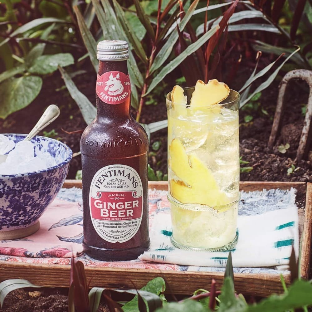 Fentimans Ginger Beer Nước Thảo Mộc Vị Bia Gừng Anh Quốc Lốc 4 Chai