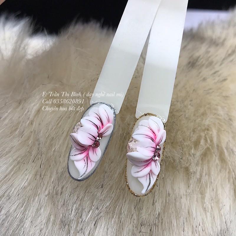 Hoa bột NAIL , hoa kết hợp vẽ và đá khối siêu xinh