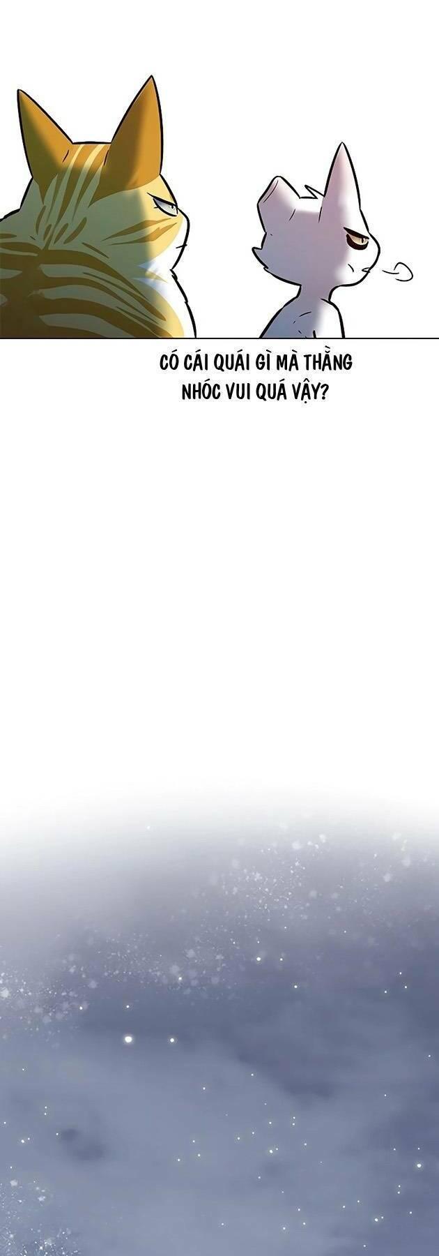 biến thân thành mèo chapter 243 62