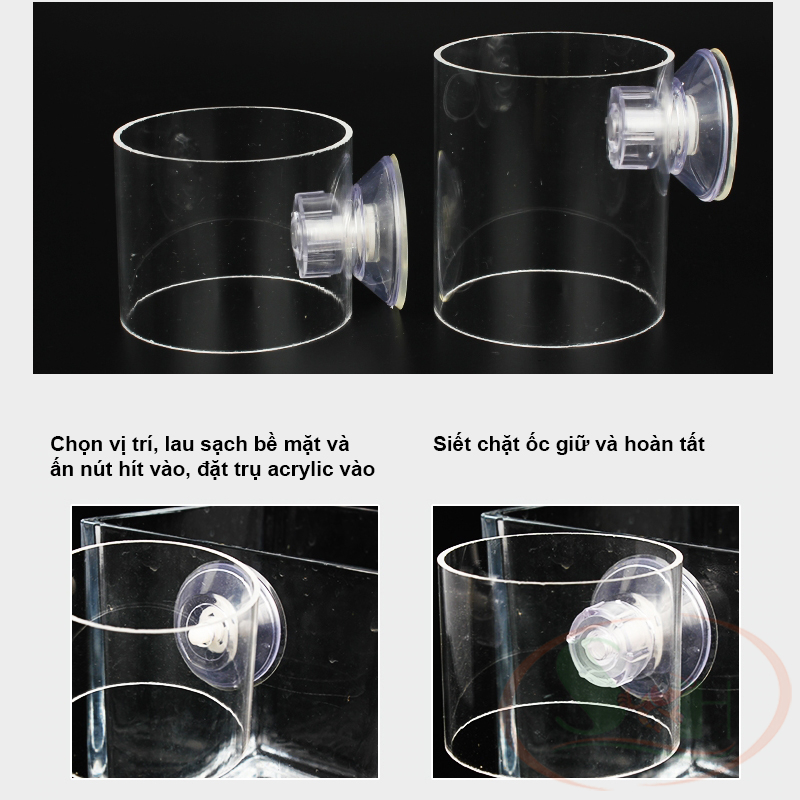 Trụ acrylic hít giữ thức ăn nổi dụng cụ cho ăn bể cá tép thủy sinh nước mặn