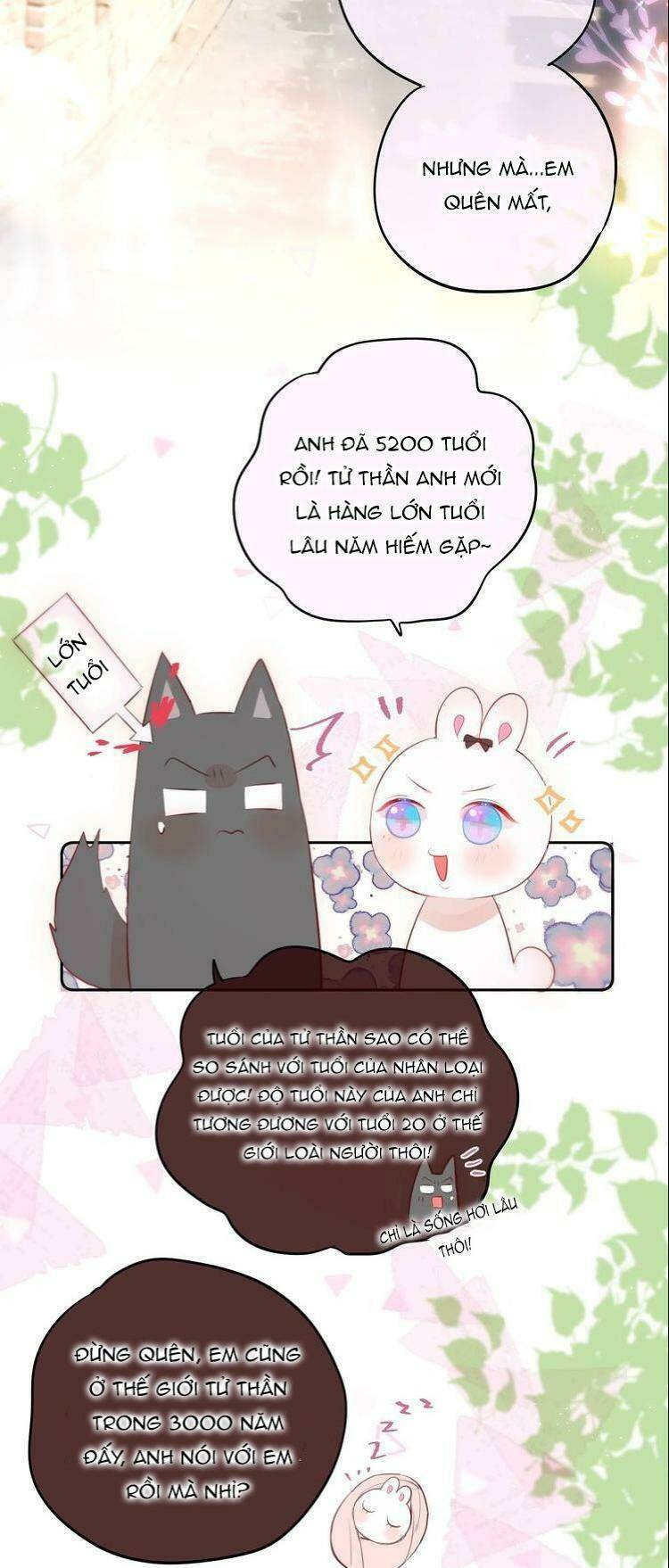 đêm ngày không dứt chapter 78.1 8