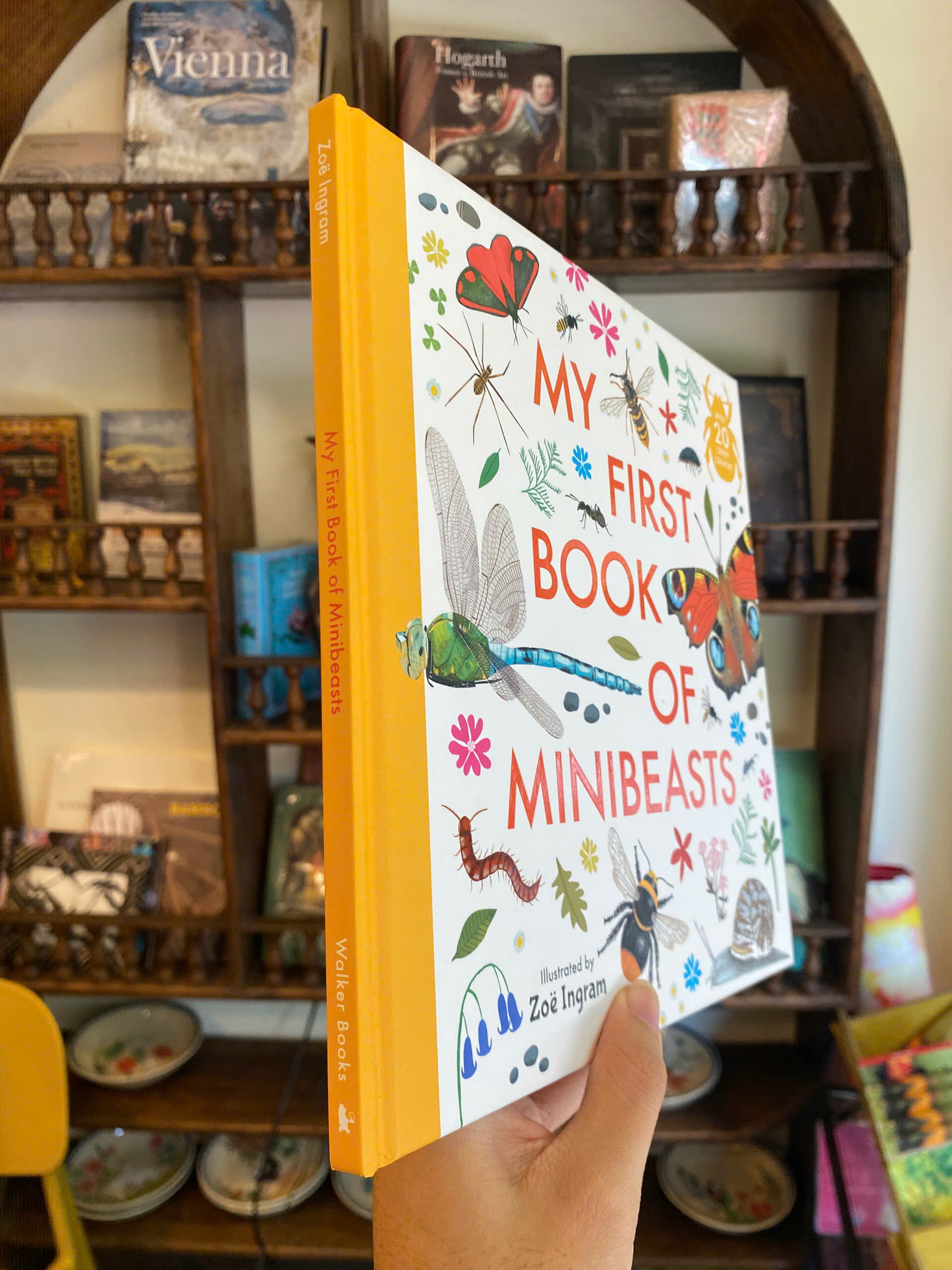 Sách - My First Book of Minibeasts by Zoe Ingram | Children's Picture Book - Nature Science Book