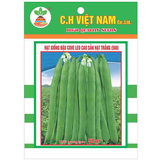 3 Gói Hạt Giống Đậu Cove Leo Cao Sản  Hạt Trắng