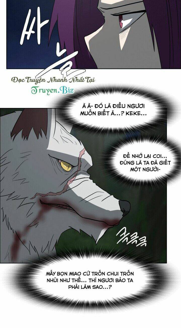 m. m. g. chapter 11 18