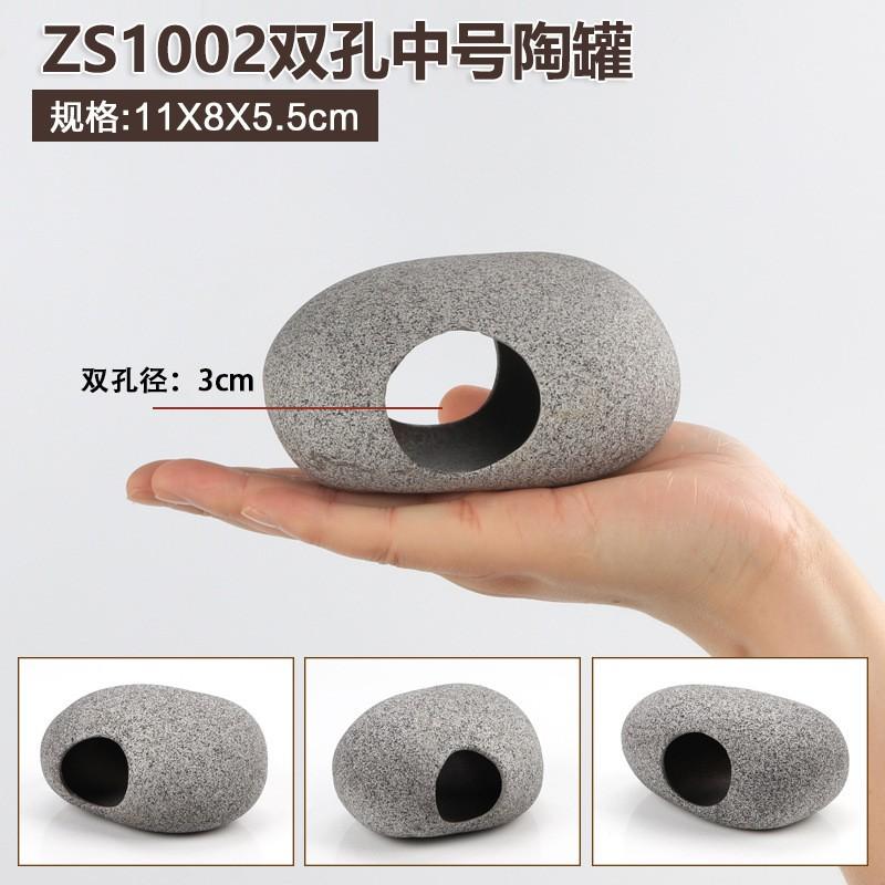 Hang cá ali ZS 1002 - hang pleco - trang trí bể tép - bể thủy sinh - hồ cá cảnh - biotop - bò sát