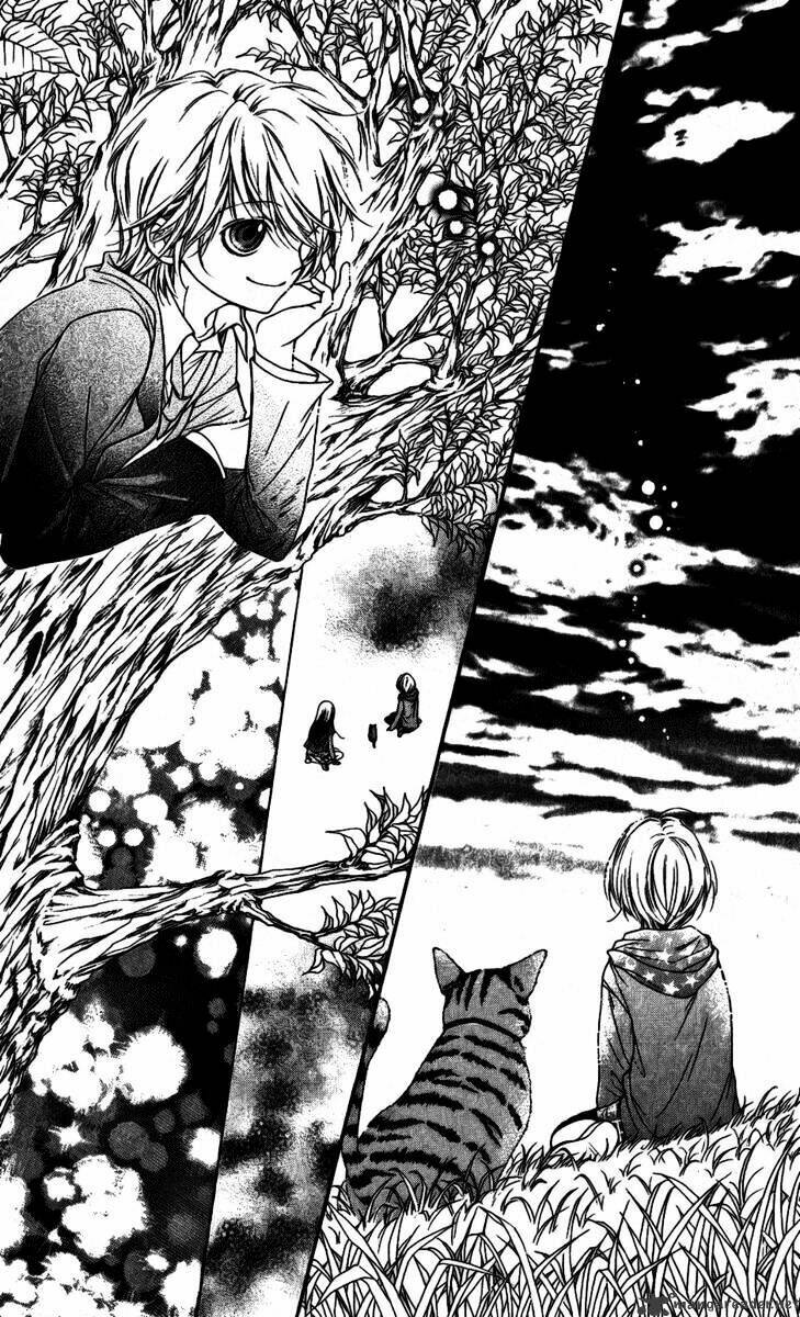 yamamoto zenjirou to moushimasu chapter 15 70