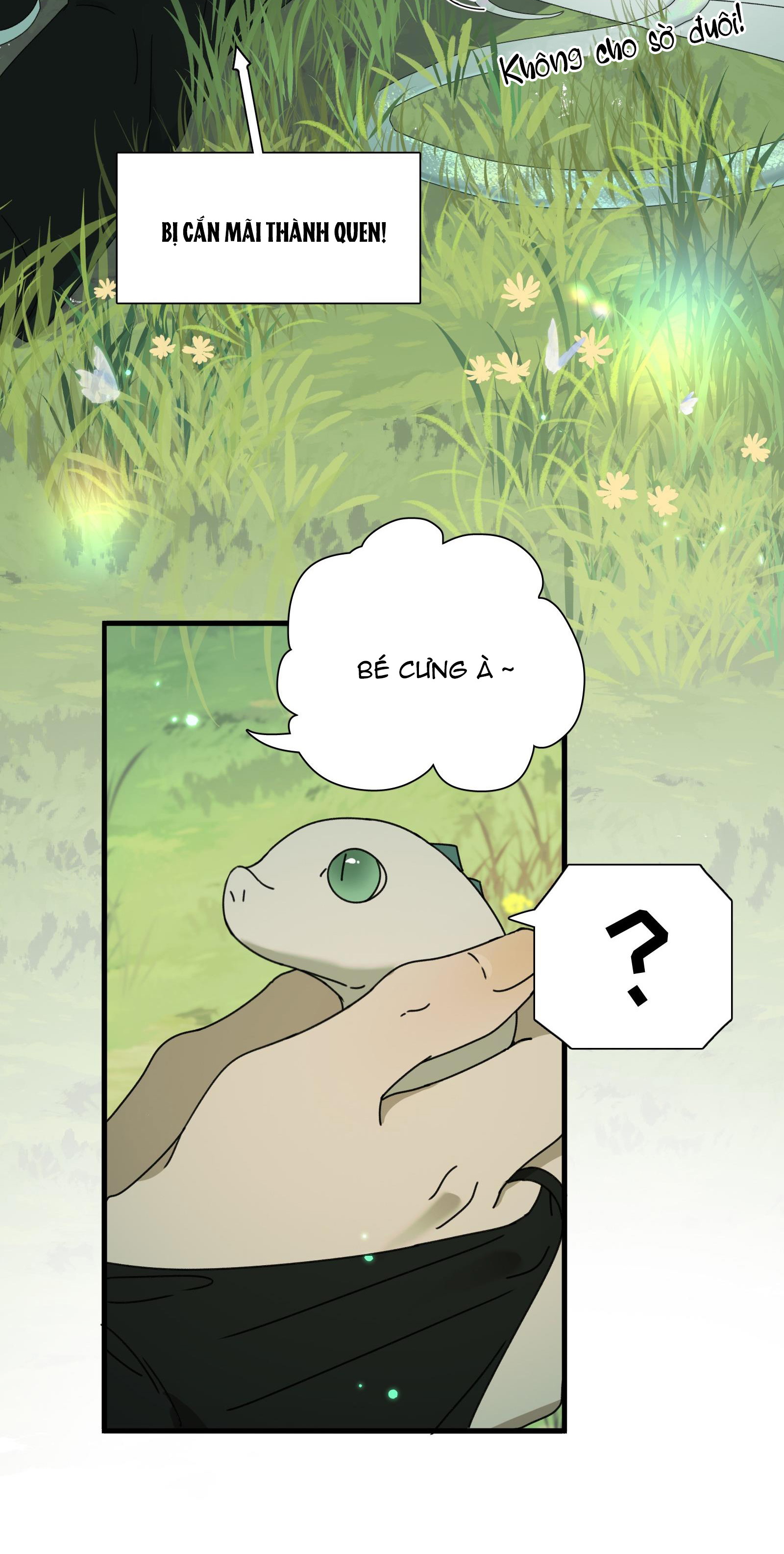 kế hoạch tẩu thoát chapter 7 40