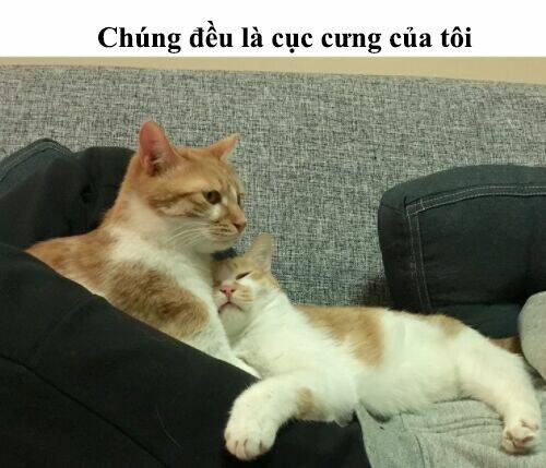 đại thánh và tiểu yêu chapter 50 29