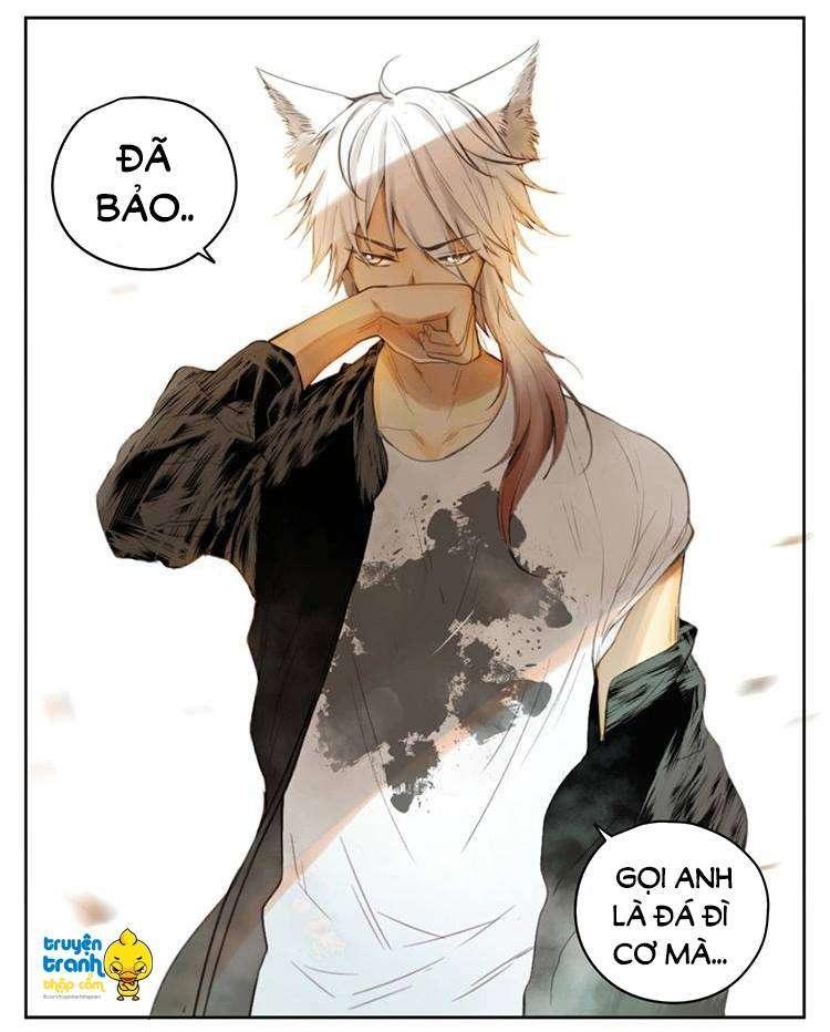 cứu mạng ! loài mèo thống trị thế giới rồi ! chapter 28 22