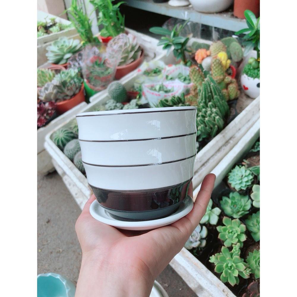 Chậu kiểu trắng đen tráng men cao cấp kèm dĩa lót