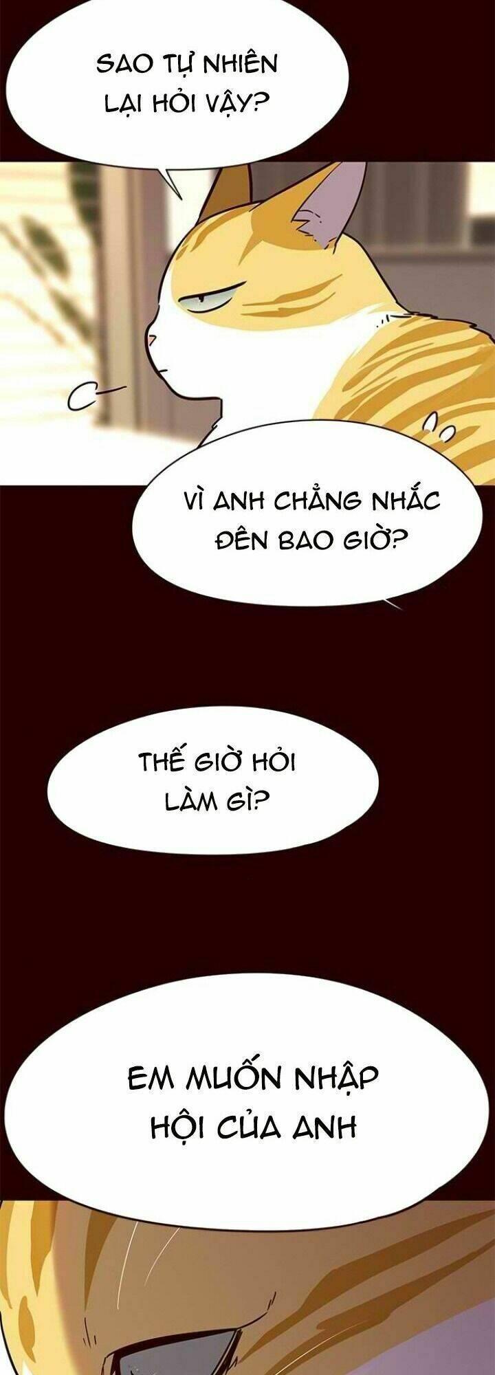 biến thân thành mèo chapter 96 10
