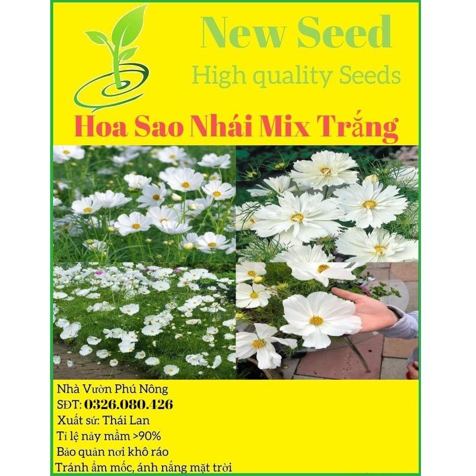 Hạt Giống Hoa Sao Nhái Mix Trắng Hoa Nở Siêu Đẹp &amp; Dễ Trồng có Tặng kèm hướng dẫn