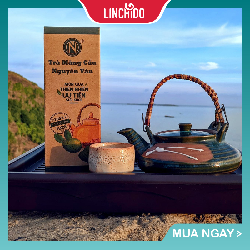 Trà Mãng Cầu - 100% mãng cầu xiêm tươi sấy khô - Hộp 100 GRAM