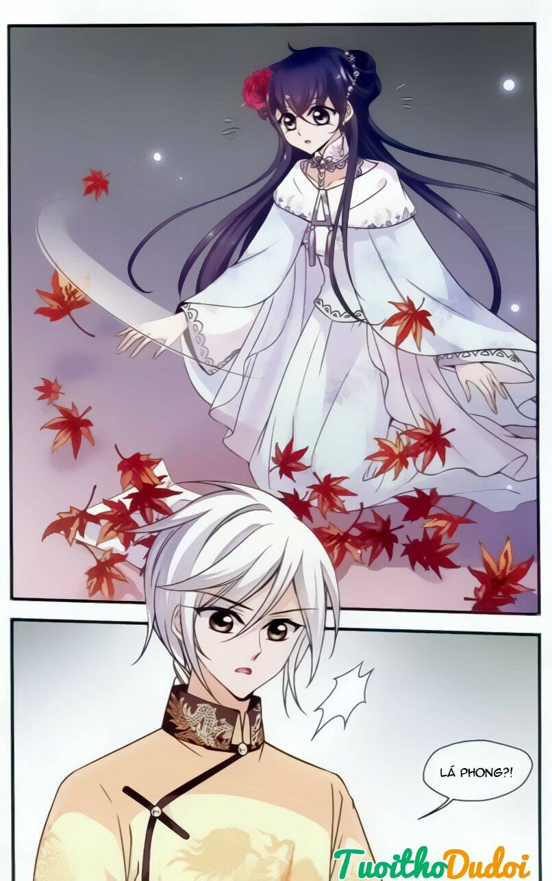 phi đãi nghiên tuyết chapter 77 25
