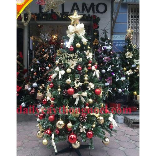 Cây thông noel 3 loại lá gắn trái đỏ 1m5