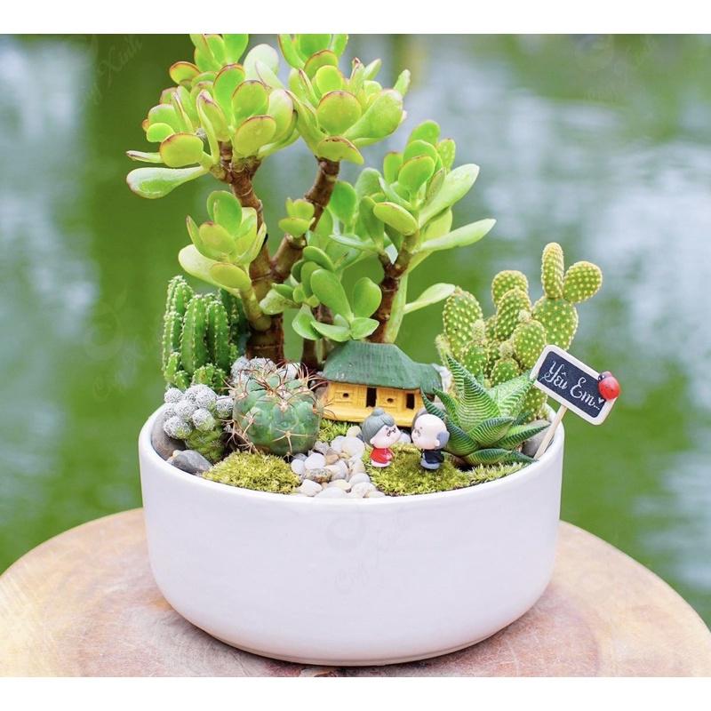 Ang Trụ Trồng Cây Cảnh Mini Cực Xinh