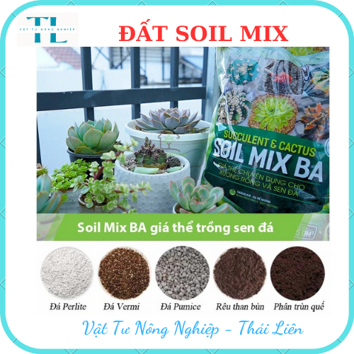 Đất Soil Mix chuyên trồng sen đá xương rồng kích rễ tăng trưởng, Đất chuyên dụng cho sen đá xứ nóng