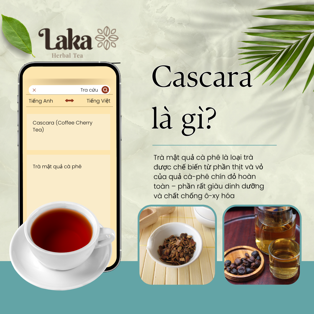 Combo Full - 4 Hộp Trà Cà Phê Cascara LAKA 100gr, 100% quả cà phê chín mọng