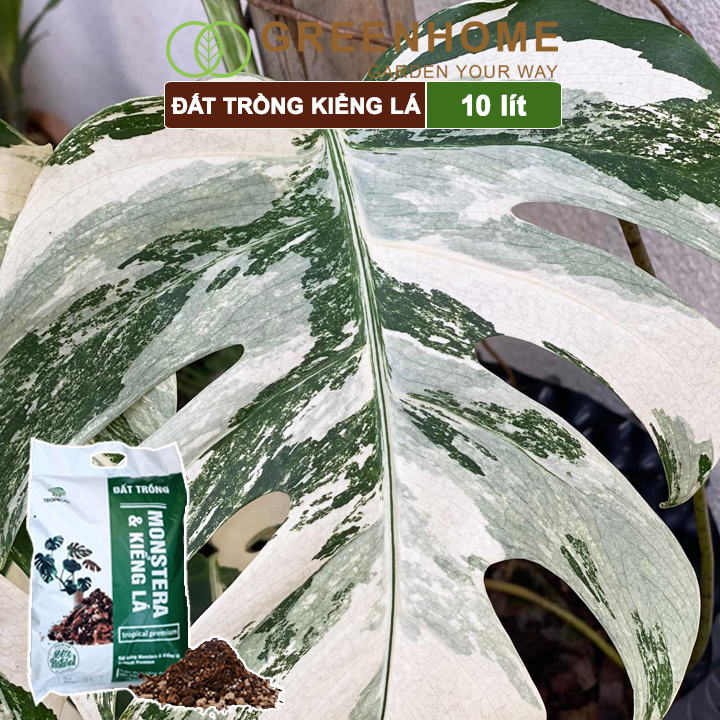 Đất trồng Monstera, kiểng lá, bao 10 lít , giá thể trộn sẵn, đầy đủ chất Tropical Premium |Greenhome
