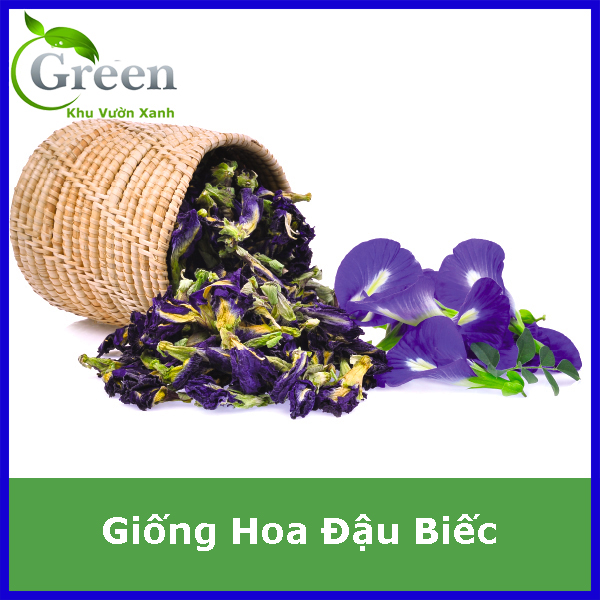 Hạt Giống Hoa Đậu Biếc (2G)