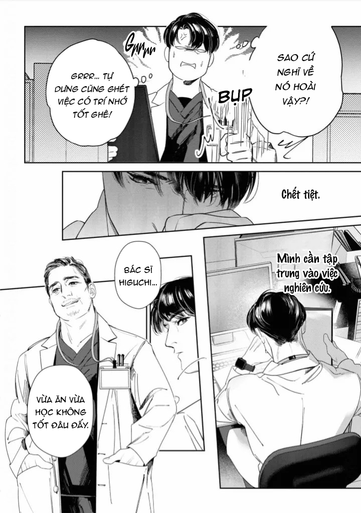 ánh hồng ban chiều chapter 2 4