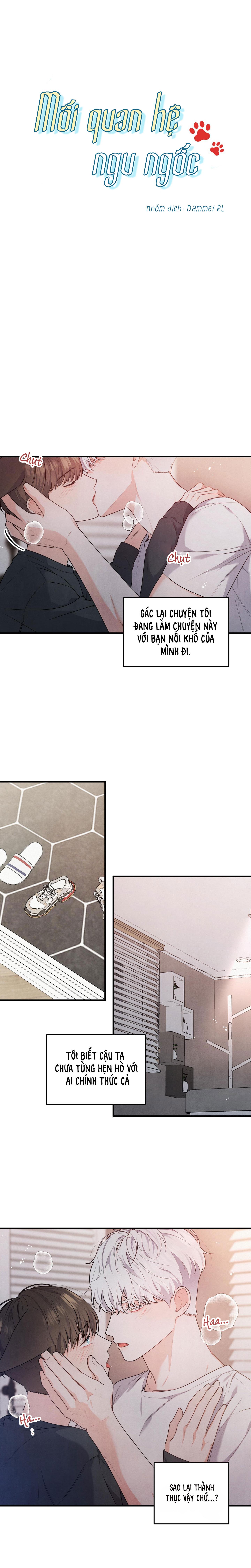 mối quan hệ ngu ngốc chapter 5 1