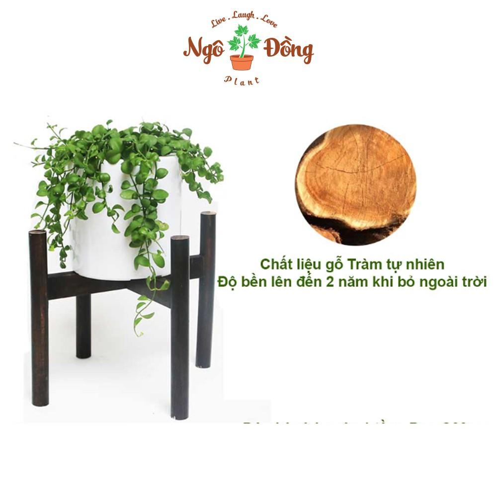 1 Đôn Kê Chậu Cây 1 Tầng C30cm Màu Đen Bằng Gỗ Tràm Tự Nhiên Trang Trí Trong Nhà Ngoài Vườn