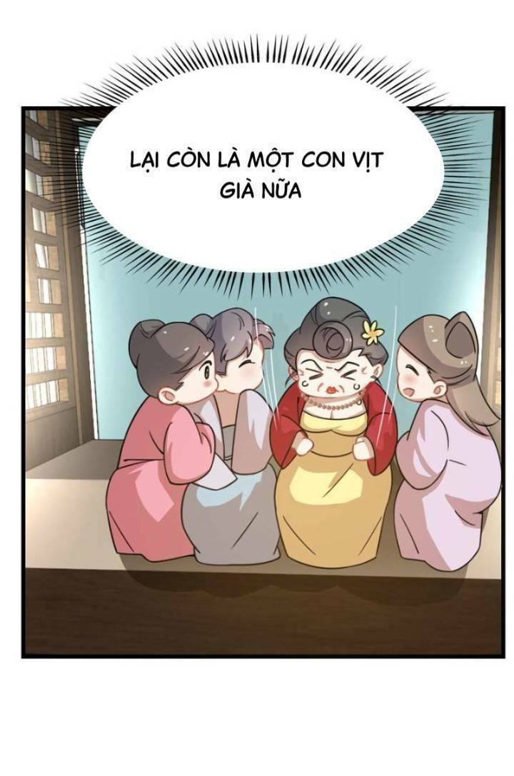 độc bộ thiên hạ: đặc công thần y chapter 164 11