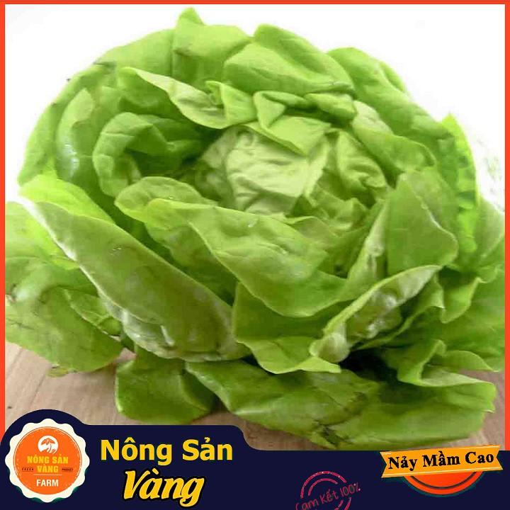 Hạt giống Xà Lách Búp Mỡ , Xà Lách Đăm