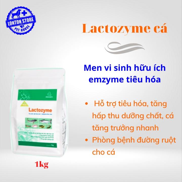 Lactozyme cá, hỗn hợp dạng bột chứa vi sinh vật hữu ích và enzyme tiêu hóa cho cá, gói 1kg