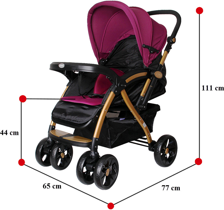 Xe Đẩy Trẻ Em 2 Chiều Baobaohao C8-112 - Tím