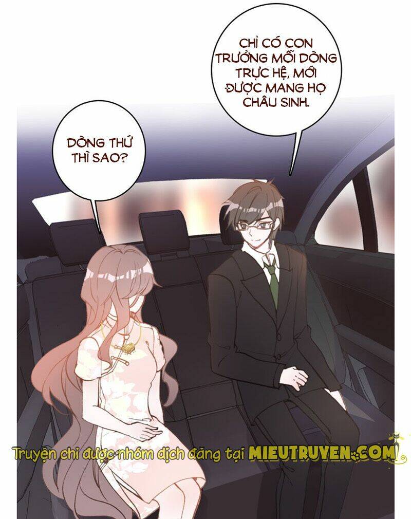 nhất sinh nhất thế mỹ nhân cốt chapter 18 24