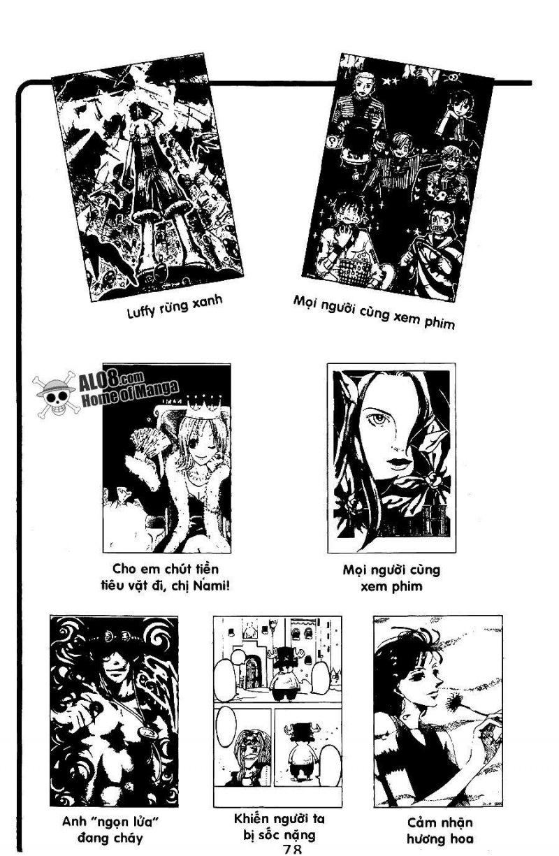 đảo hải tặc - one piece chapter 248 20