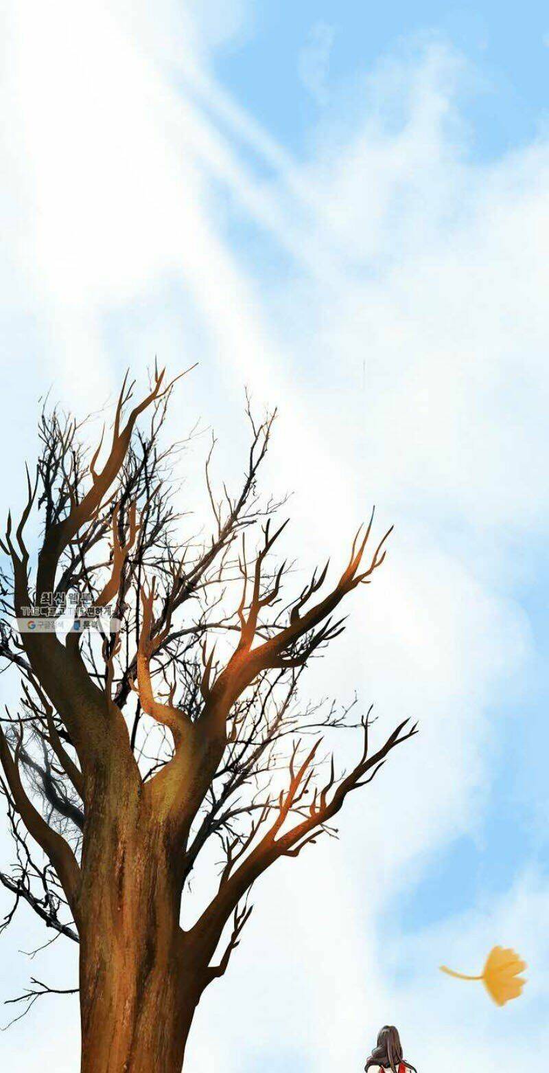 xuyên không thành hổ chapter 14 66