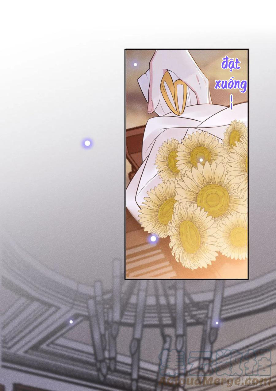 anh ấy gọi tôi là hắc liên hoa chapter 135 10