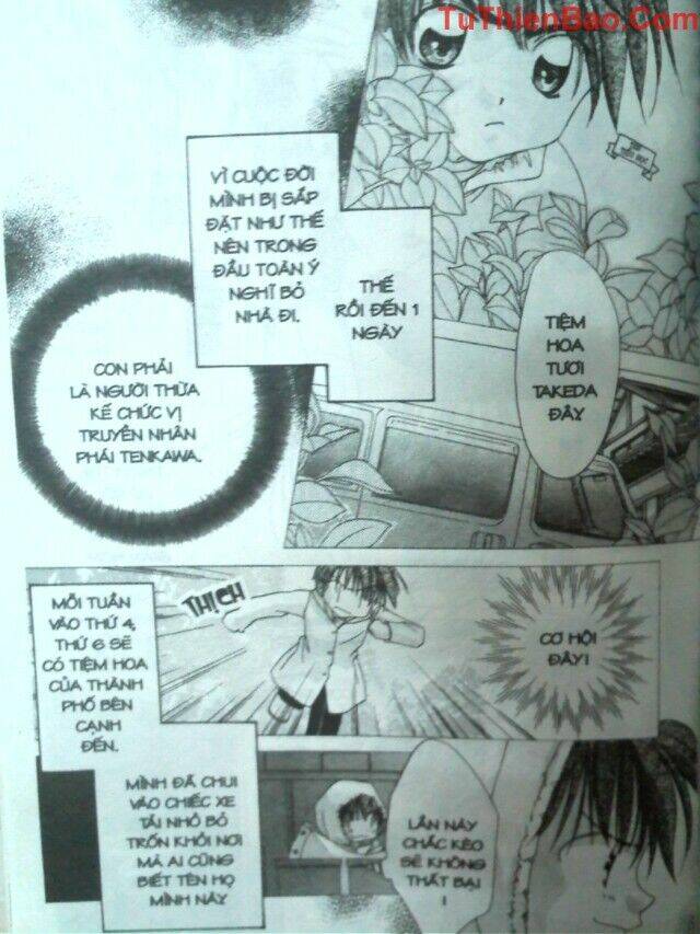 nguyện ước dưới ánh sao chapter 8 95