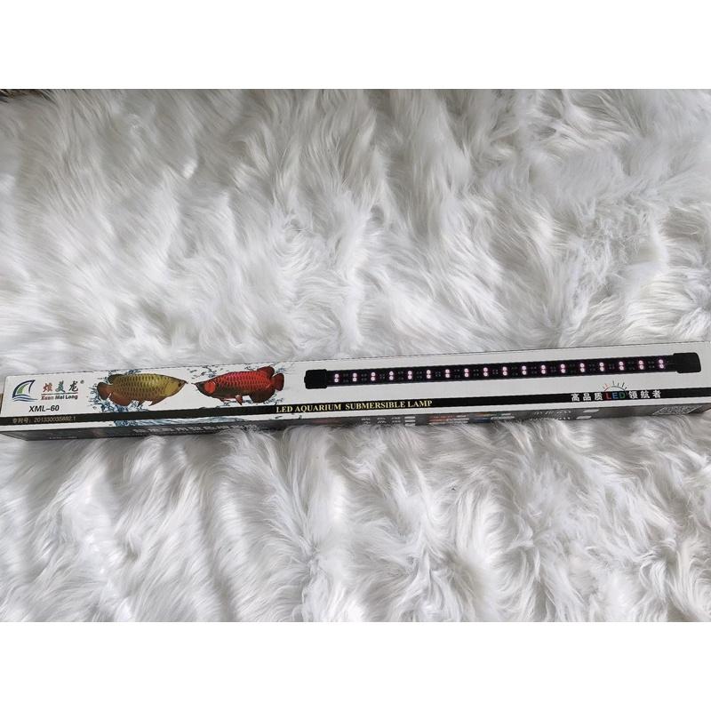 Đèn LED Cá Rồng Xuân Meilong 60cm Màu Trắng. Phụ Kiện Hồ Cá Đèn LED Cá Rồng Xuân Meilong 60cm