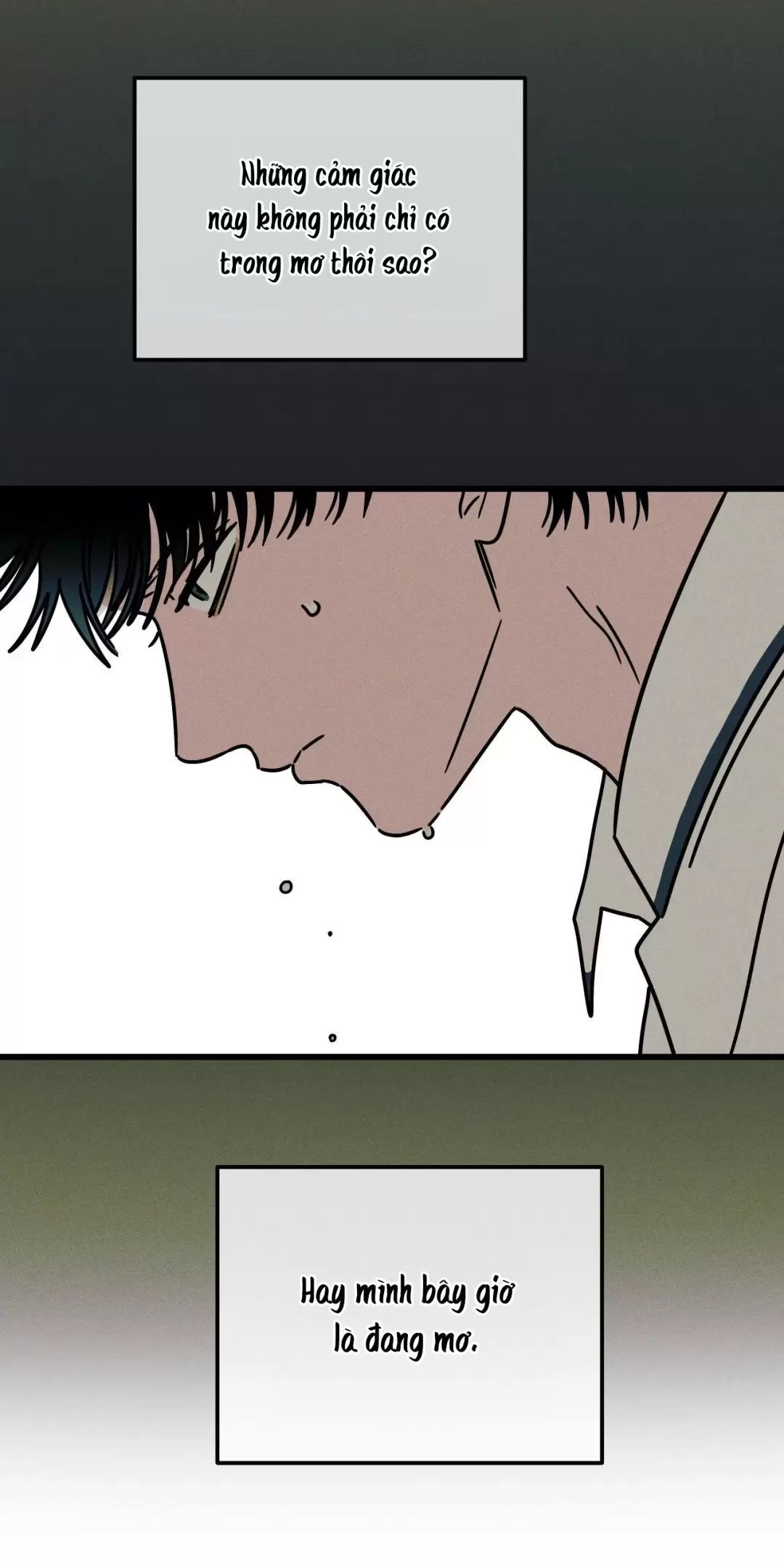 lời tỏ tình từ con số 0 chapter 29 7