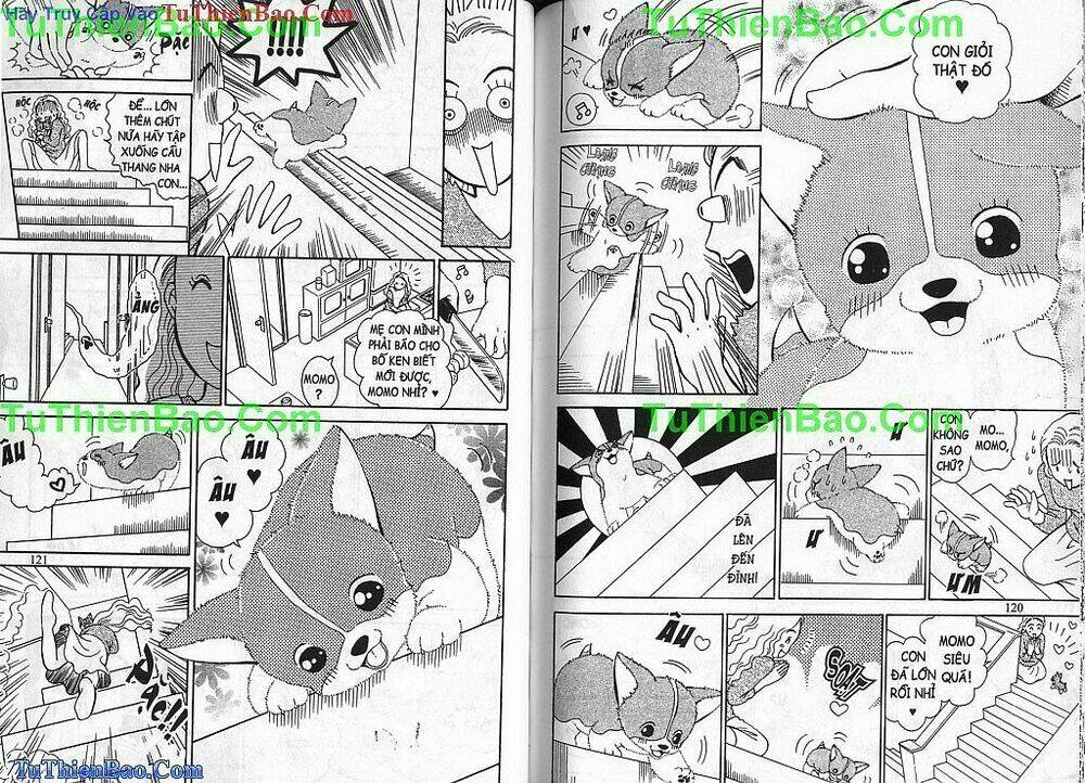 chó con mo mo chapter 2 61