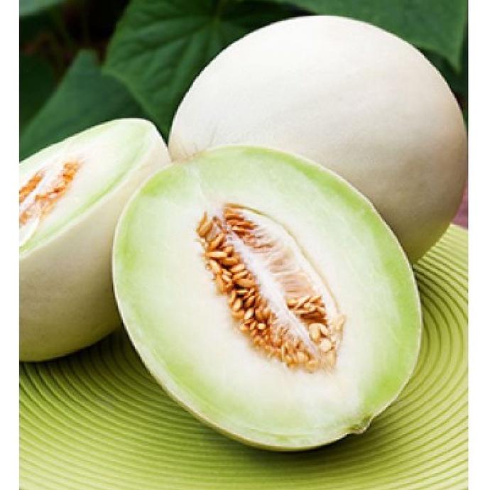 Combo 2 gói hạt giống dưa lê bạch tuyết dể trồng-gói 10 hạt/tặng kèm gói phân bón lót