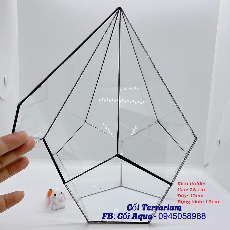 Bình thủy tinh Terrarium đa giác