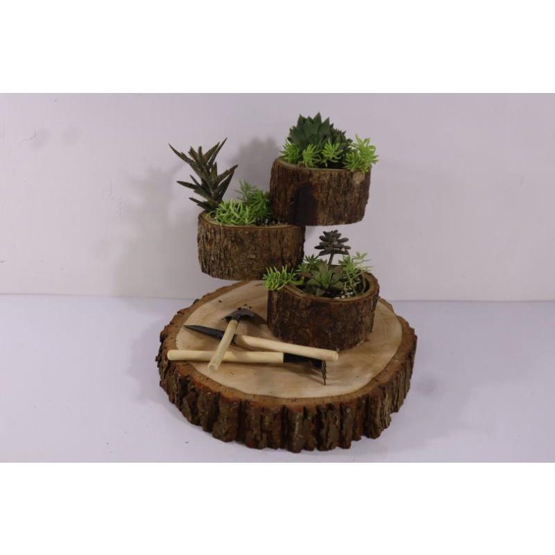 Chậu gỗ đa tầng trồng sen đá