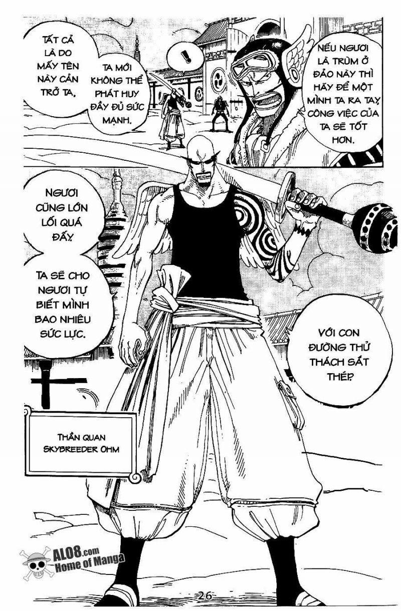 đảo hải tặc - one piece chapter 254 11