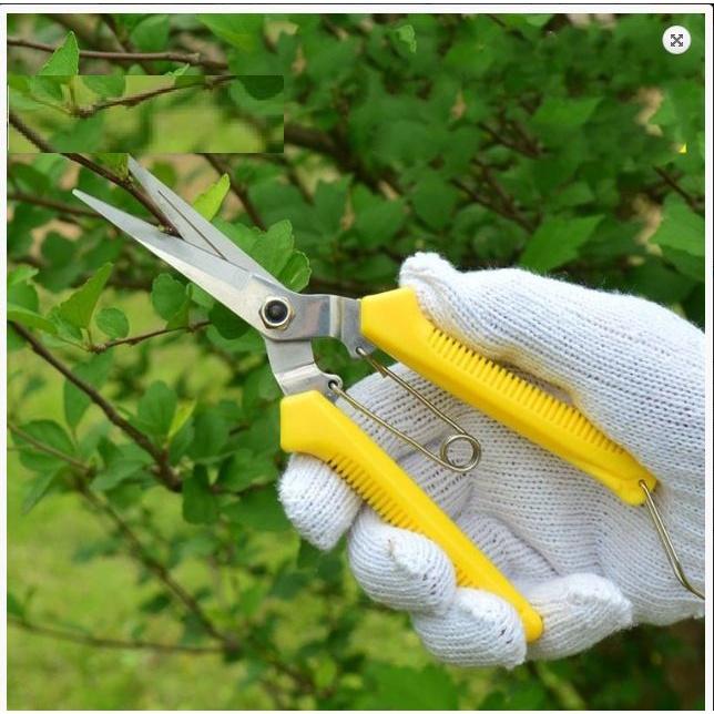 Kéo tỉa cành trái tỉa chi dăm 195cm màu vàng K109