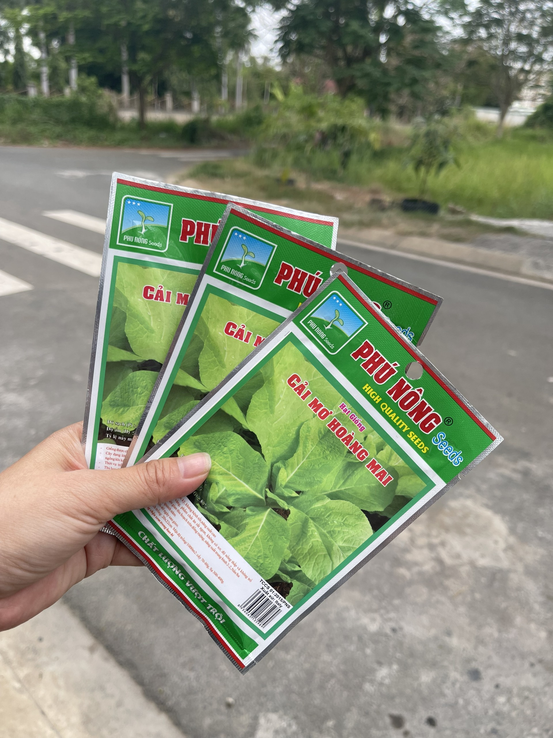 HẠT GIỐNG CẢI MƠ HOÀNG MAI - PHÚ NÔNG