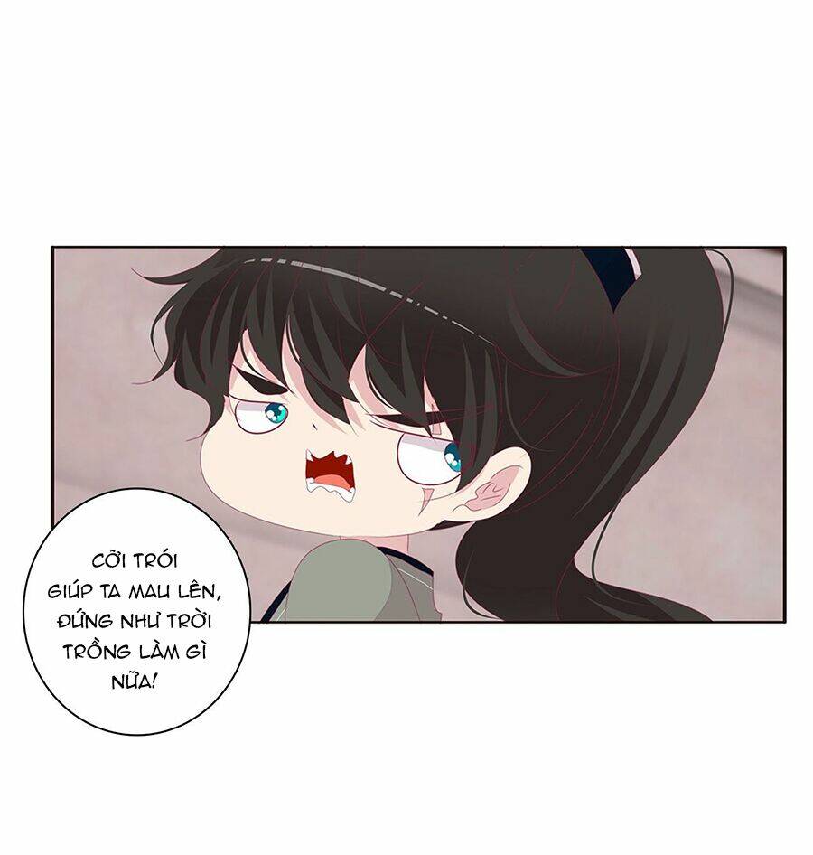 tướng quân mời ra trận chapter 173 5