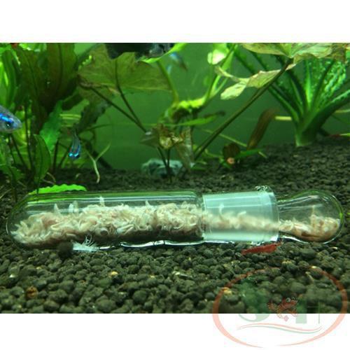 Dụng cụ bẫy sán thủy tinh cao cấp