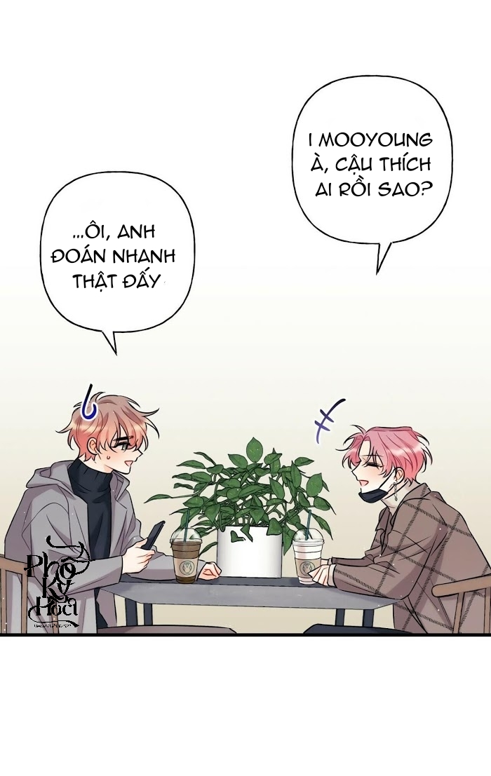 dưới ánh hào quang chapter 4 15