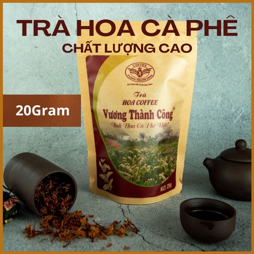 Trà hoa cà phê nguyên chất Vương Thành Công, trà thơm dịu, tự nhiên, hậu ngọt, trà vườn cà phê hữu cơ