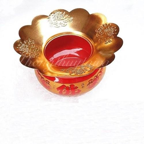 Vỉ đế hứng tàn nhang